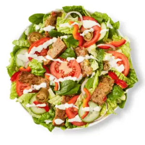 Plant Patty (VE) - Subway Salads - Veggie
