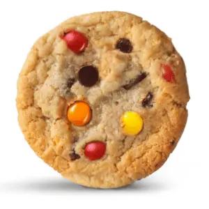 Rainbow Chocolate Chip Cookie
